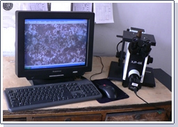 c鿴ԔϢ<br>}x xΔ3351